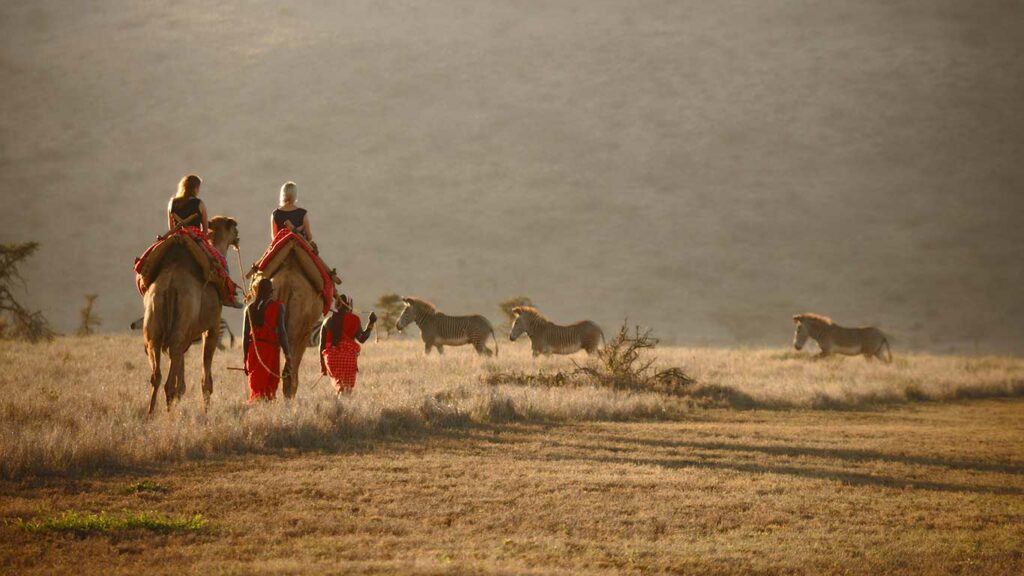 Camel safari in Kenya with Planet Africa Safaris | Lewa Safari Camp | Bespoke safari itineraries & tour operator