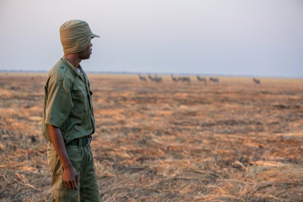 Image showing guide watching over wildebeest in Simalaha Wildlife Conservancy as arranged by Planet Africa Safaris | tailor-made safari itineraries in Africa | Blog